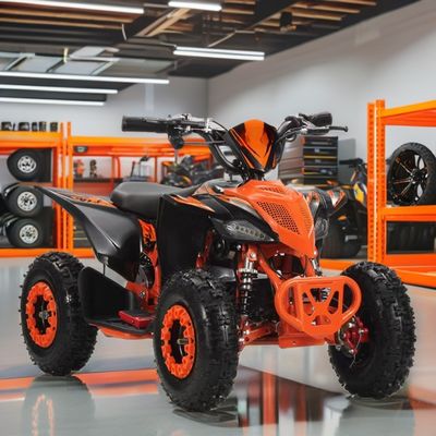 2WD Aotong Motor 800w1000W 36V Off Road Quad ATV Quad Bikes con trasmissione a catena