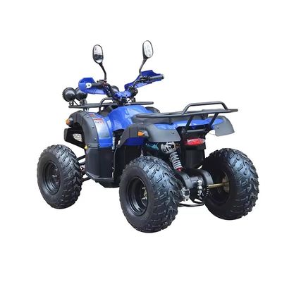 Torsione massima Nm ≤20Nm Quattro ruote off-road ATV Motore 250cc con passo 600-1000mm