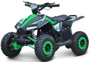 Torsione massima di 40-60Nm 1000W ATV elettrico side by side per prestazioni imbattibili