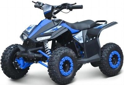 Torsione massima di 40-60Nm 1000W ATV elettrico side by side per prestazioni imbattibili