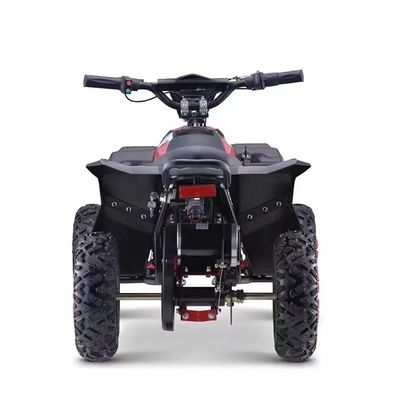 Torsione massima di 40-60Nm 1000W ATV elettrico side by side per prestazioni imbattibili