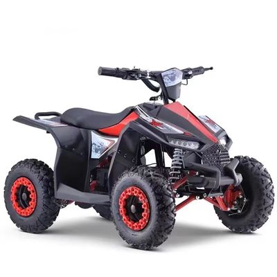 Torsione massima di 40-60Nm 1000W ATV elettrico side by side per prestazioni imbattibili