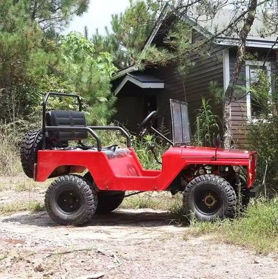 Electric 2 seater off road sand buggy per bambini velocità massima 50-75Km/h Voltaggio 48V