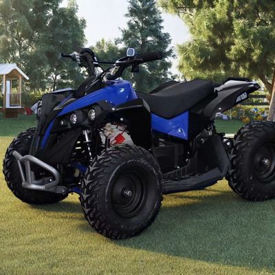 1000W 36V 48V ATV a trazione a catena progettato per un'ampiezza minima ≤ 100mm