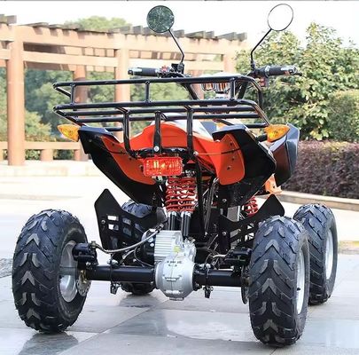 800w/1000w 48v/60v ATV Brushless Motor Electric 4 Wheel Quad Bike ATV per una guida fluida