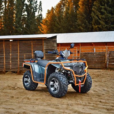Colori personalizzati 2024 Farm Quads 300cc 4x4 Gran Potenza Utility ATV con capacità di grado
