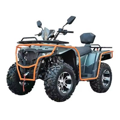 Colori personalizzati 2024 Farm Quads 300cc 4x4 Gran Potenza Utility ATV con capacità di grado