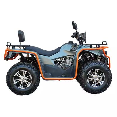 Colori personalizzati 2024 Farm Quads 300cc 4x4 Gran Potenza Utility ATV con capacità di grado