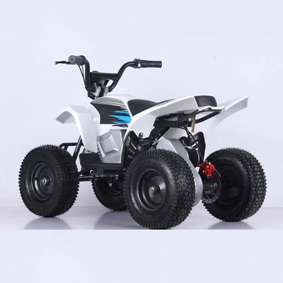 350W Mini Electric ATV Biciclette a quattro ruote 1000W 36V 12Ah Quadbike con 5-7h di tempo di ricarica