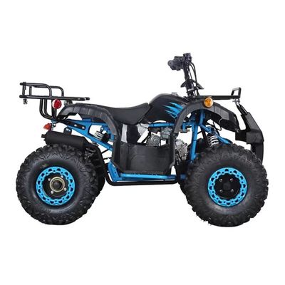 Certificato CE 110cc 125cc Big Power Farm Quad Bike per l'avventura all'aperto dei bambini