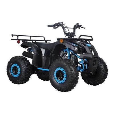 Certificato CE 110cc 125cc Big Power Farm Quad Bike per l'avventura all'aperto dei bambini