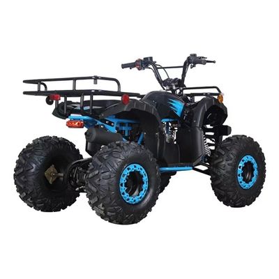 Certificato CE 110cc 125cc Big Power Farm Quad Bike per l'avventura all'aperto dei bambini