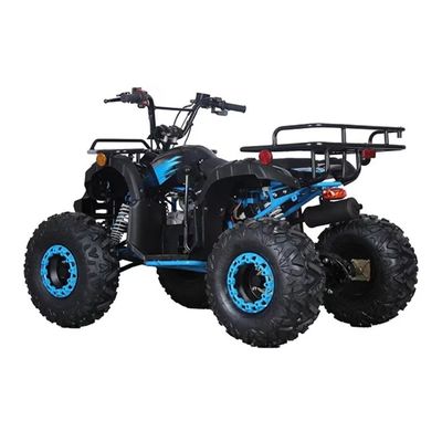 Certificato CE 110cc 125cc Big Power Farm Quad Bike per l'avventura all'aperto dei bambini