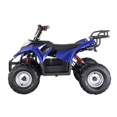 Mini ATV elettrico a prezzi accessibili con capacità di graduazione ≥ 25° e blocco differenziale