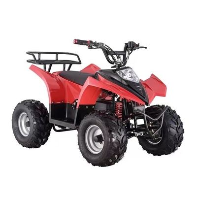 Mini ATV elettrico a prezzi accessibili con capacità di graduazione ≥ 25° e blocco differenziale
