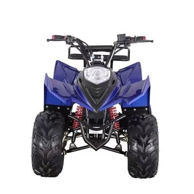 Mini ATV elettrico a prezzi accessibili con capacità di graduazione ≥ 25° e blocco differenziale