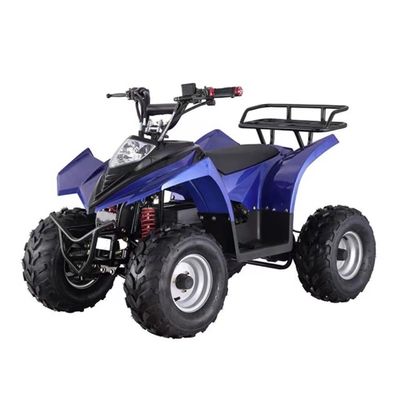 Mini ATV elettrico a prezzi accessibili con capacità di graduazione ≥ 25° e blocco differenziale