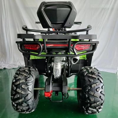 Motocicletta a quattro ruote da 250cc a prezzi accessibili con supporto per colori personalizzabili