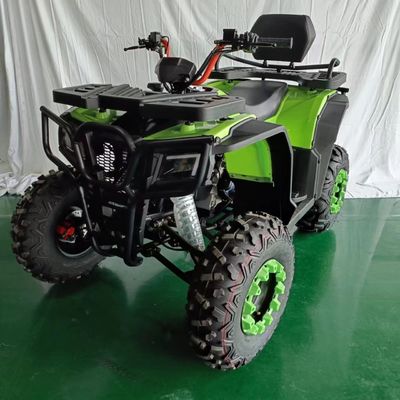 Motocicletta a quattro ruote da 250cc a prezzi accessibili con supporto per colori personalizzabili