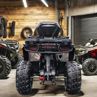 Migliora la tua esperienza fuoristrada con le nostre prestazioni ineguagliabili del nostro ATV a benzina da 250cc