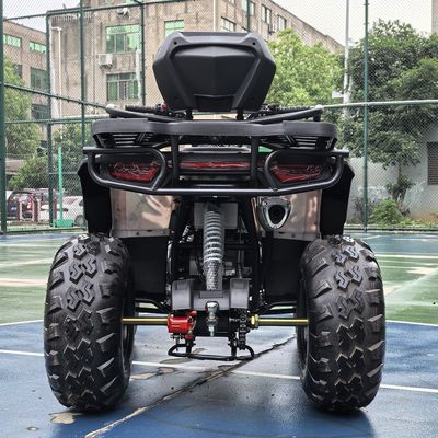 Scatena il tuo avventuriero interiore 250cc Automatic Chain Drive ATV per il fuoristrada