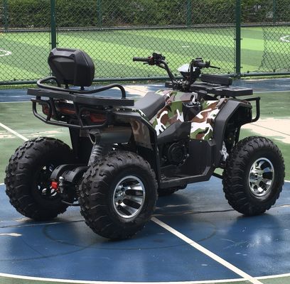 Scatena il tuo avventuriero interiore 250cc Automatic Chain Drive ATV per il fuoristrada