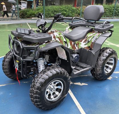 Scatena il tuo avventuriero interiore 250cc Automatic Chain Drive ATV per il fuoristrada