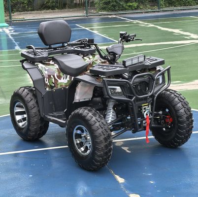 Scatena il tuo avventuriero interiore 250cc Automatic Chain Drive ATV per il fuoristrada