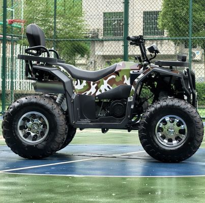 Scatena il tuo avventuriero interiore 250cc Automatic Chain Drive ATV per il fuoristrada