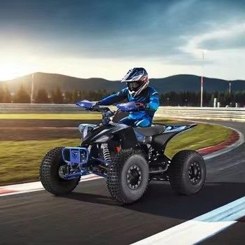 19x7.0-8&quot;/18x9.5-8&quot; Dimensione pneumatica Bambini elettrico 4 ruote quadriciclo ATV 1000w Certificazione CE