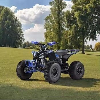 19x7.0-8&quot;/18x9.5-8&quot; Dimensione pneumatica Bambini elettrico 4 ruote quadriciclo ATV 1000w Certificazione CE