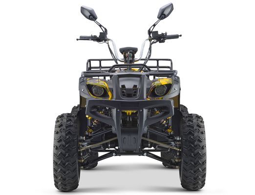 Velocità massima 50-75Km/h 3000W ATV elettrico con 4WD e trasmissione automatica 60v