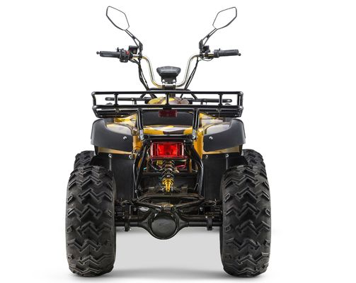 2WD/4WD commutabile Tipo di guida 72V Electric Quad ATV Farm Utility Vehicle Buggy con 7-9h di tempo di ricarica