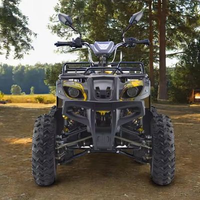 Potente 3000W 1500W 4WD 4x4 Moto ATV UTV 1000cc Quad ATV con passo tra le ruote 1800-2200mm