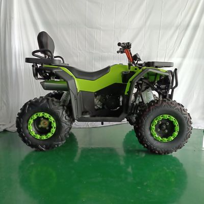 Motore a catena 300CC 4x4 ATV per agricoltura e agricoltura cavallo da lavoro