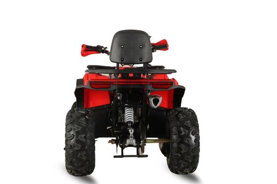 200cc ATV a benzina Quad Bikes Long Range 4 Wheel Motorcycle con passo tra le ruote 600-1000mm