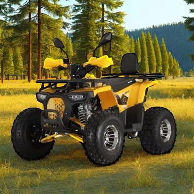 125cc Farm Quads ATV per adulti Potente motore a gas / diesel e trazione a catena