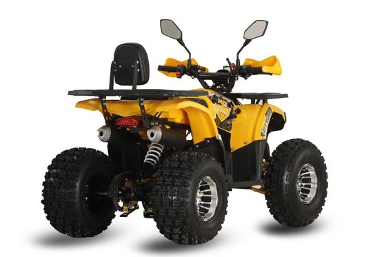 125cc Farm Quads ATV per adulti Potente motore a gas / diesel e trazione a catena