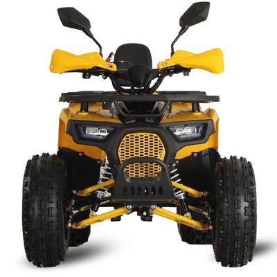 125cc Farm Quads ATV per adulti Potente motore a gas / diesel e trazione a catena