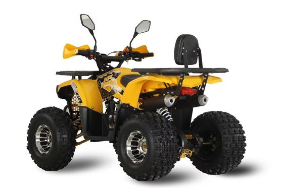 125cc Farm Quads ATV per adulti Potente motore a gas / diesel e trazione a catena