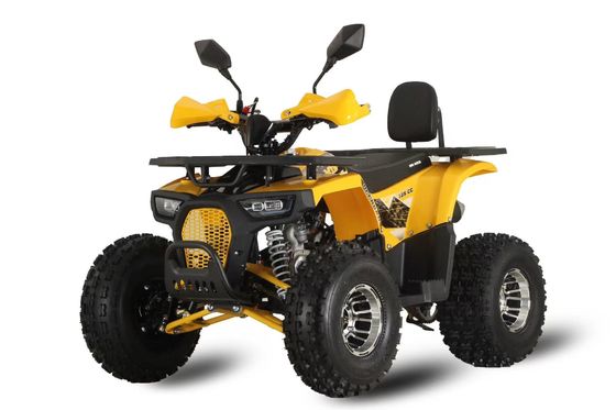 Colori supportati personalizzati Potente 125 cc a catena a guida a gas ATV da corsa per adulti