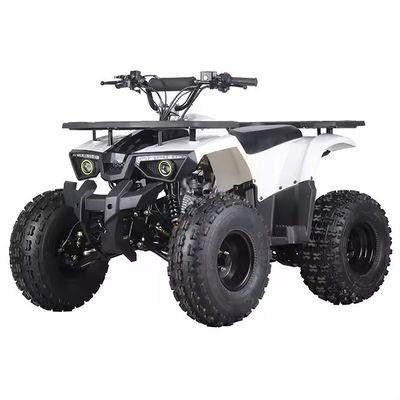 Motore Aotong 110cc 125cc 150cc Cuatrimoto ATV per adulti
