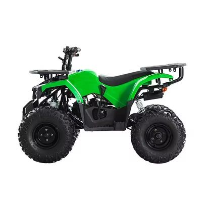 Motore Aotong 110cc 125cc 150cc Cuatrimoto ATV per adulti