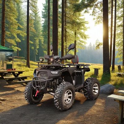 2WD Velocità massima 50-75Km/h 125cc 150cc 200cc ATV UTV Off Road Cuatrimoto