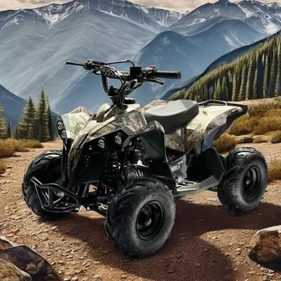 Carburante a gas 110CC ATV alimentato da sistema di trasmissione a catena