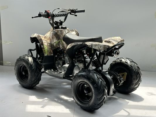 Carburante a gas 110CC ATV alimentato da sistema di trasmissione a catena