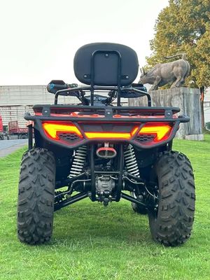 ATV diretto 300cc 350cc 4x4 con sistema di trasmissione di potenza e pneumatici 25x8-12/25x10-12