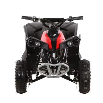 Chain Drive 110CC Electric Kids ATV Racing 1000w 800w 1200w Quad ATV per il divertimento all'aria aperta
