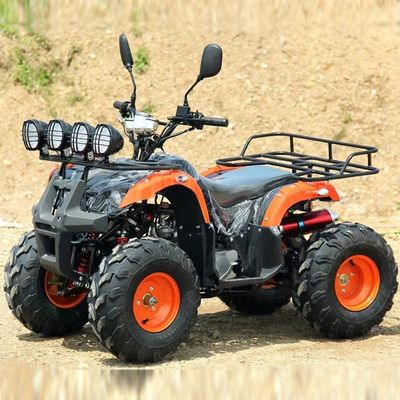 110cc 125cc ATV accessibile Automatic Chain Drive con blocco differenziale non equipaggiato