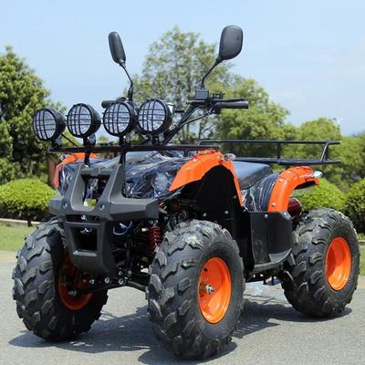 110cc 125cc ATV accessibile Automatic Chain Drive con blocco differenziale non equipaggiato